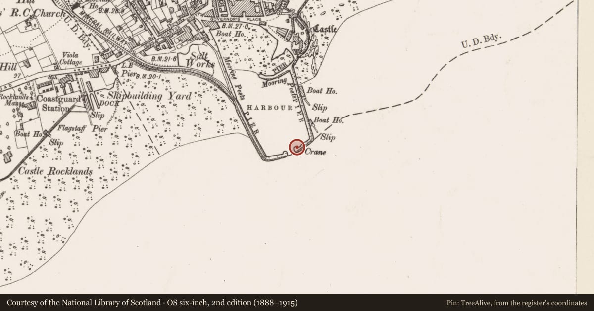 Ordnance Survey six-inch map, 2nd edition (1888–1915) covering the location of Former Radar School, Carrickfergus, Mid and East Antrim, with a pin at the register's coordinates