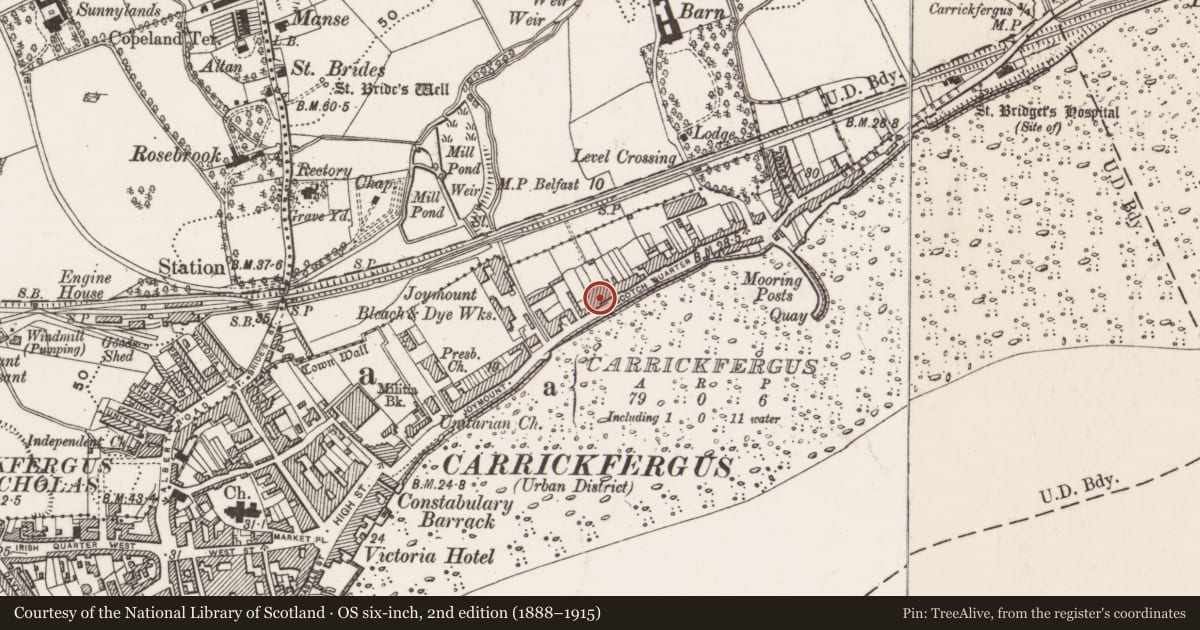 Ordnance Survey six-inch map, 2nd edition (1888–1915) covering the location of 22 Scotch Quarter, None, Mid and East Antrim, with a pin at the register's coordinates