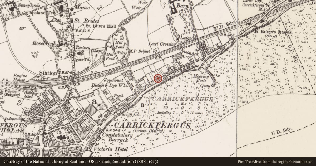 Ordnance Survey six-inch map, 2nd edition (1888–1915) covering the location of 24 Scotch Quarter, None, Mid and East Antrim, with a pin at the register's coordinates