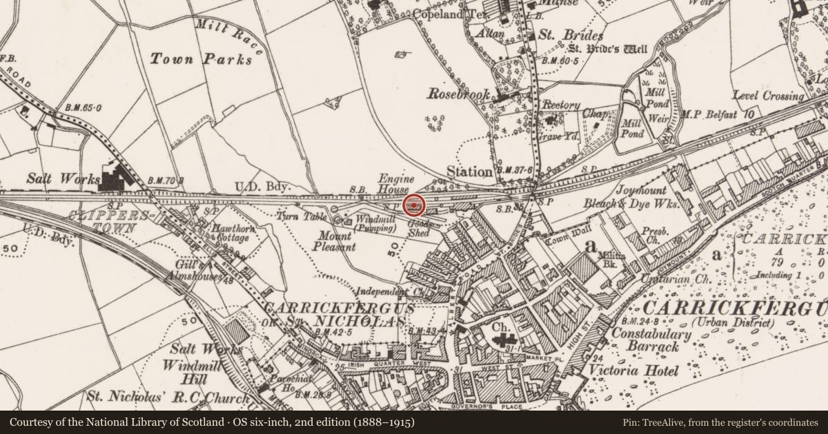 Ordnance Survey six-inch map, 2nd edition (1888–1915) covering the location of Former railway engine shed in council yard near Carrickfergus Railway Station, Middle Division, Mid and East Antrim, with a pin at the register's coordinates