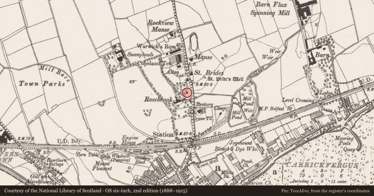 Ordnance Survey six-inch map, 2nd edition (1888–1915) covering the location of Rosebrook wall, Mid and East Antrim, with a pin at the register's coordinates