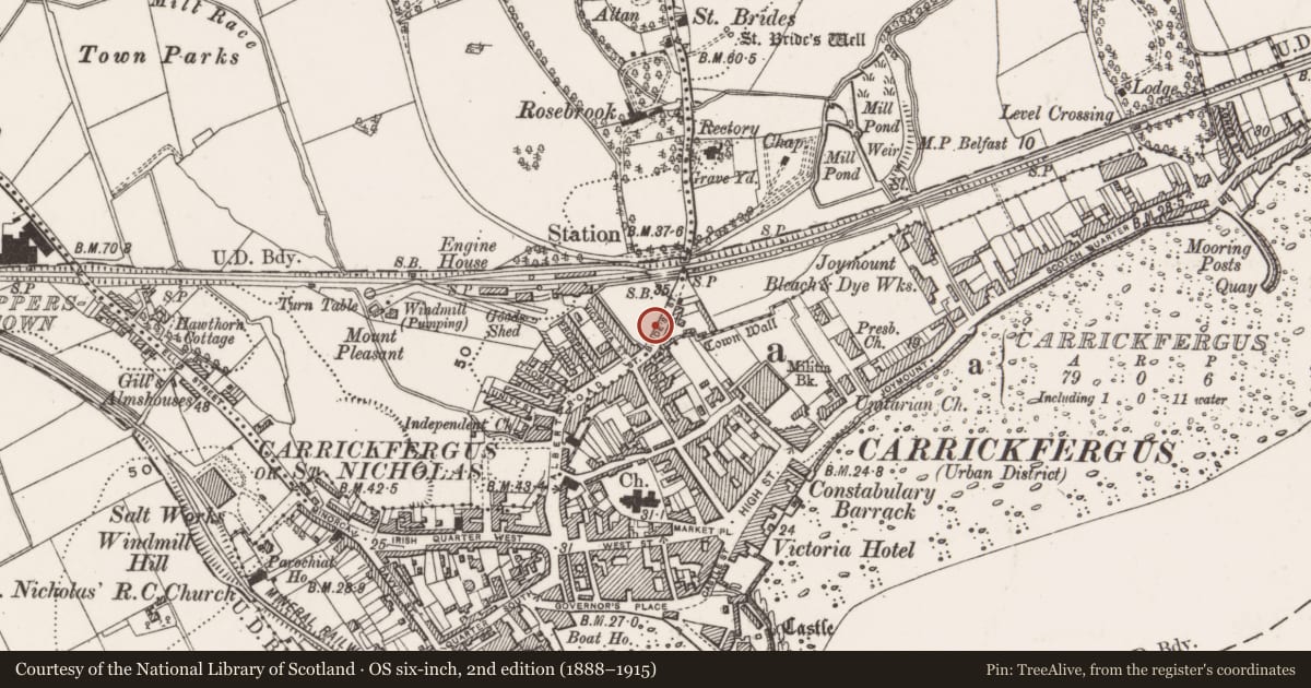Ordnance Survey six-inch map, 2nd edition (1888–1915) covering the location of 8-14 St. Bride’s Street, Mid and East Antrim, with a pin at the register's coordinates