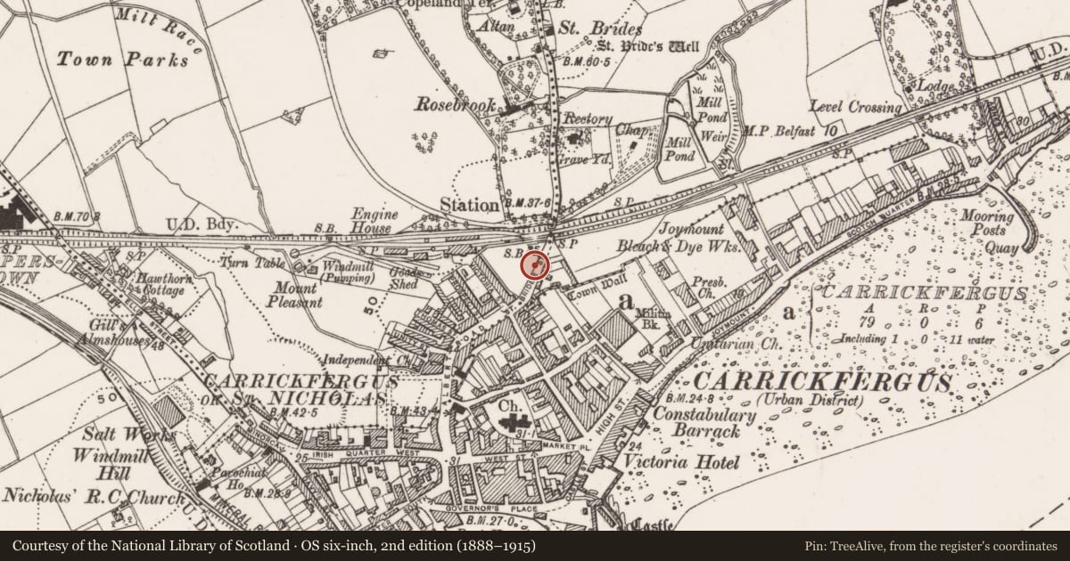Ordnance Survey six-inch map, 2nd edition (1888–1915) covering the location of 16-26 St. Bride’s Street, Mid and East Antrim, with a pin at the register's coordinates