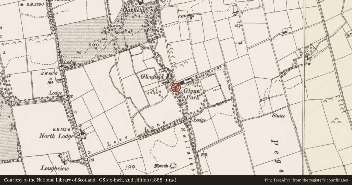 Ordnance Survey six-inch map, 2nd edition (1888–1915) covering the location of Bridge at Glynn Park, Mid and East Antrim, with a pin at the register's coordinates