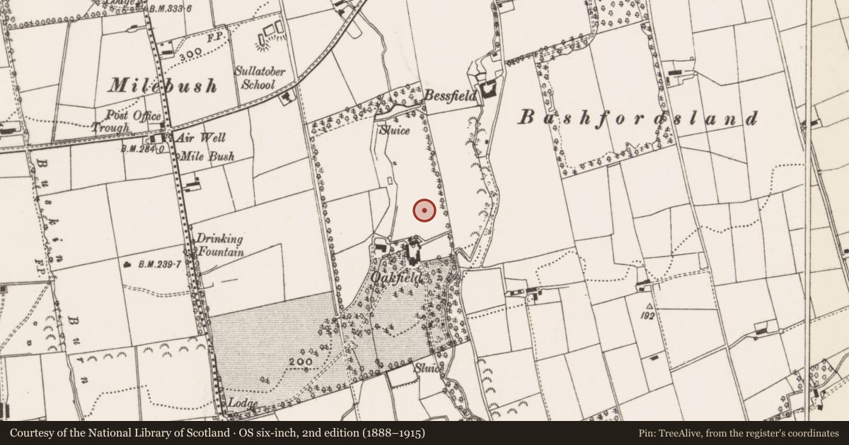 Ordnance Survey six-inch map, 2nd edition (1888–1915) covering the location of Oakfield, Mid and East Antrim, with a pin at the register's coordinates