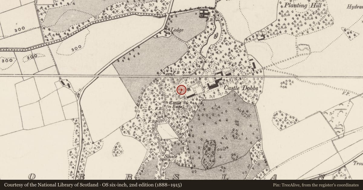 Ordnance Survey six-inch map, 2nd edition (1888–1915) covering the location of Gardeners Cottage, Dobbsland, Mid and East Antrim, with a pin at the register's coordinates
