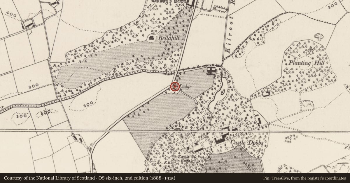 Ordnance Survey six-inch map, 2nd edition (1888–1915) covering the location of Lodge at Castle Dobbs, Dobbsland, Mid and East Antrim, with a pin at the register's coordinates