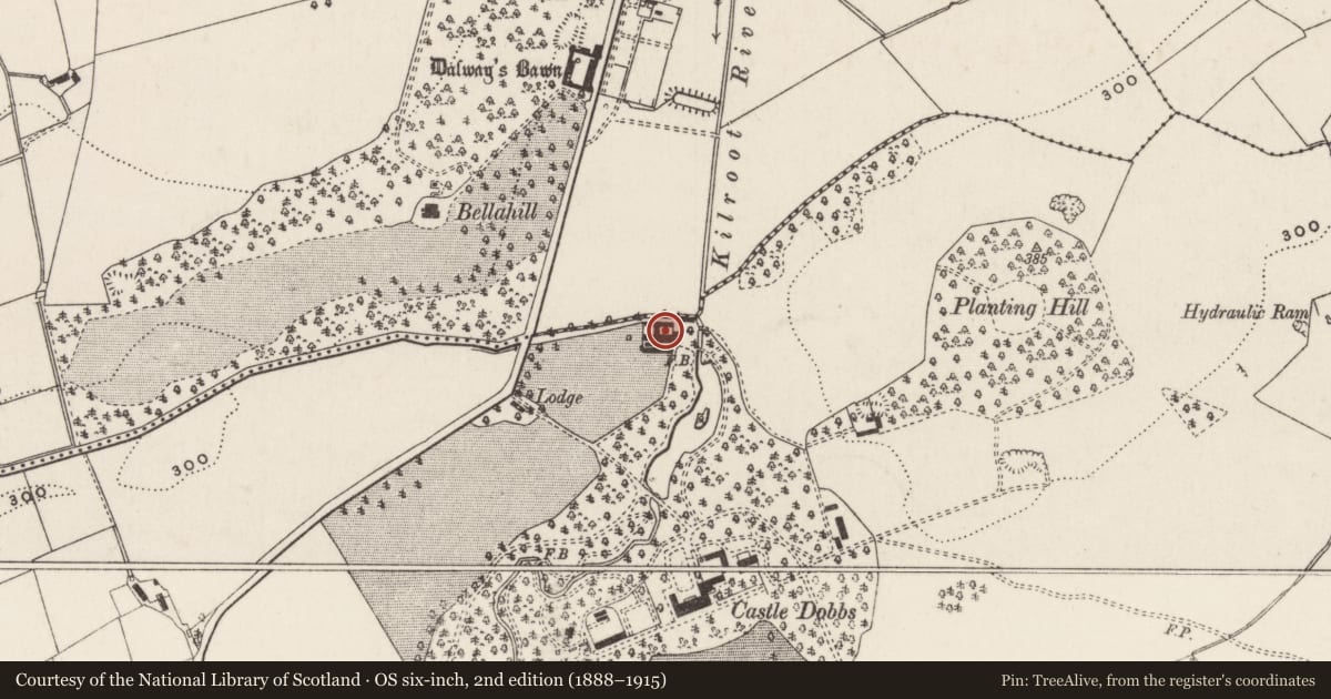 Ordnance Survey six-inch map, 2nd edition (1888–1915) covering the location of Farm Buildings, Dobbsland, Mid and East Antrim, with a pin at the register's coordinates