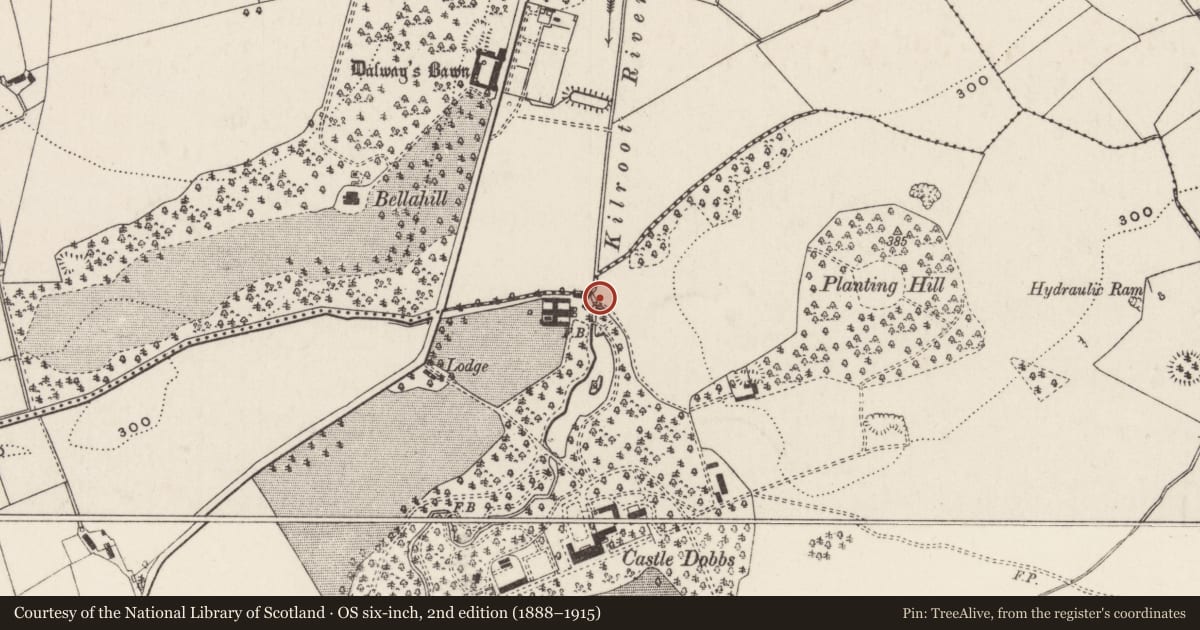 Ordnance Survey six-inch map, 2nd edition (1888–1915) covering the location of Bridge at farmyard, Dobbsland, Mid and East Antrim, with a pin at the register's coordinates