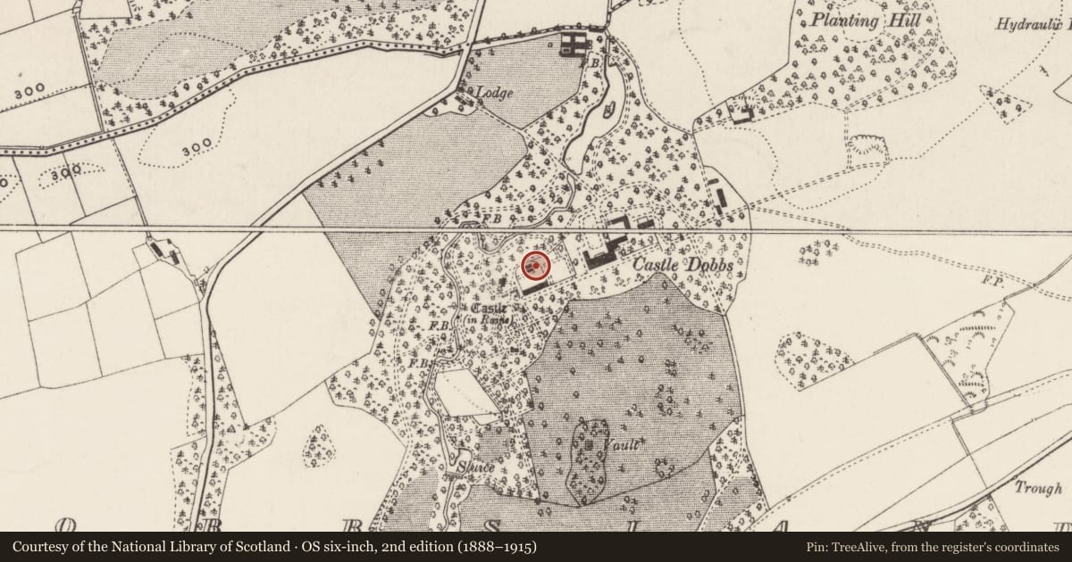 Ordnance Survey six-inch map, 2nd edition (1888–1915) covering the location of Walled Garden, Dobbsland, Mid and East Antrim, with a pin at the register's coordinates