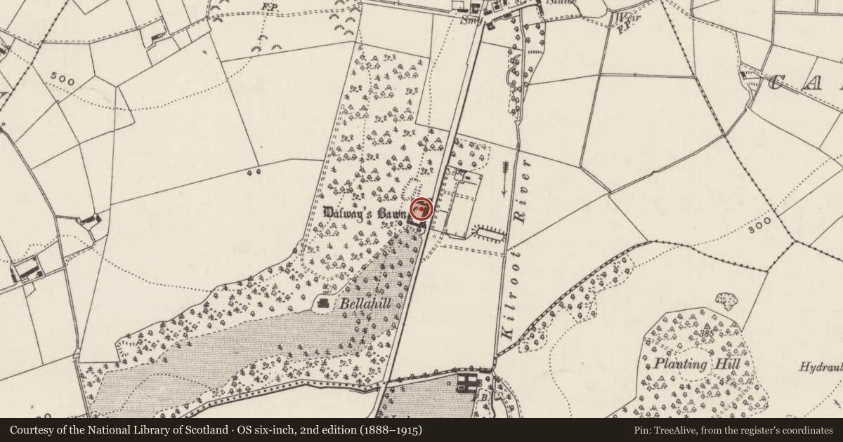 Ordnance Survey six-inch map, 2nd edition (1888–1915) covering the location of Dalway's Bawn, Ballyhill, Mid and East Antrim, with a pin at the register's coordinates