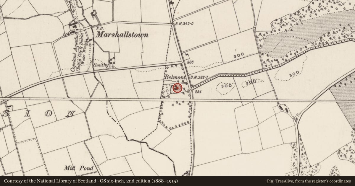 Ordnance Survey six-inch map, 2nd edition (1888–1915) covering the location of Belmont, Mid and East Antrim, with a pin at the register's coordinates