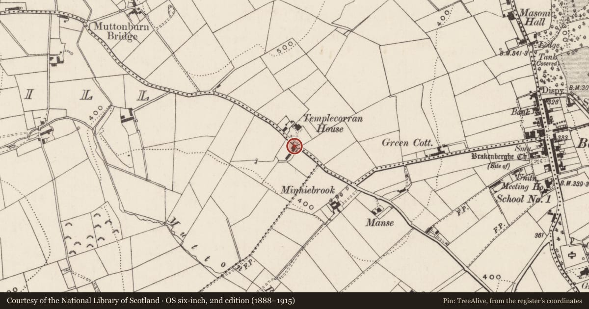 Ordnance Survey six-inch map, 2nd edition (1888–1915) covering the location of 36 Manse Road, Blackhill, Mid and East Antrim, with a pin at the register's coordinates