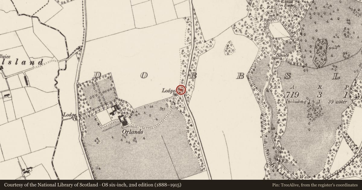 Ordnance Survey six-inch map, 2nd edition (1888–1915) covering the location of 50 Tongue Loanen Road, Mid and East Antrim, with a pin at the register's coordinates
