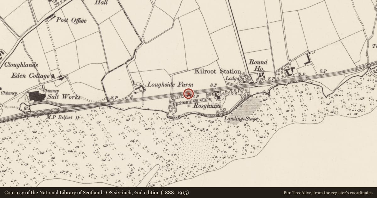 Ordnance Survey six-inch map, 2nd edition (1888–1915) covering the location of Rosganna Manor, Mid and East Antrim, with a pin at the register's coordinates