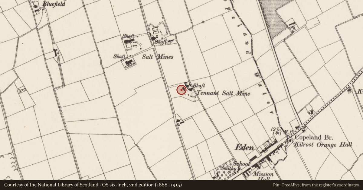 Ordnance Survey six-inch map, 2nd edition (1888–1915) covering the location of Tennant Salt Mine, Mid and East Antrim, with a pin at the register's coordinates