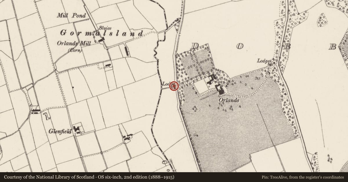 Ordnance Survey six-inch map, 2nd edition (1888–1915) covering the location of Beltoy Road, Mid and East Antrim, with a pin at the register's coordinates