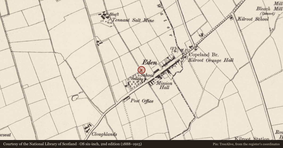 Ordnance Survey six-inch map, 2nd edition (1888–1915) covering the location of Eden Primary School, Mid and East Antrim, with a pin at the register's coordinates