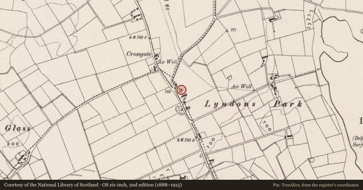 Ordnance Survey six-inch map, 2nd edition (1888–1915) covering the location of 46 Loughmourne Road, Commons, Mid and East Antrim, with a pin at the register's coordinates