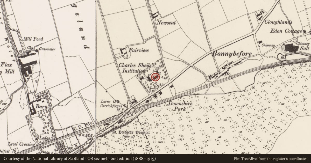 Ordnance Survey six-inch map, 2nd edition (1888–1915) covering the location of 7-27 Shiels Houses, Larne Road, Carrickfergus, Co Antrim, BT38 7EA, North East Division, Mid and East Antrim, with a pin at the register's coordinates