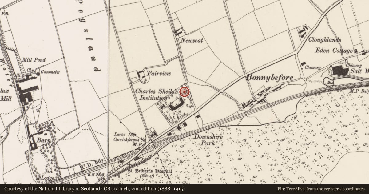 Ordnance Survey six-inch map, 2nd edition (1888–1915) covering the location of 1-6 Shiels Houses, Larne Road, Carrickfergus, Co Antrim BT38 7EA, North East Division, Mid and East Antrim, with a pin at the register's coordinates