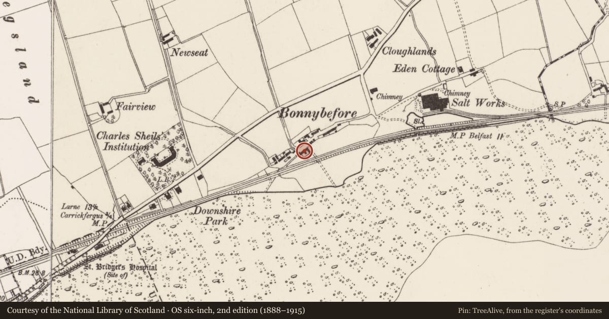 Ordnance Survey six-inch map, 2nd edition (1888–1915) covering the location of Andrew Jackson Centre, Kilroot, Mid and East Antrim, with a pin at the register's coordinates