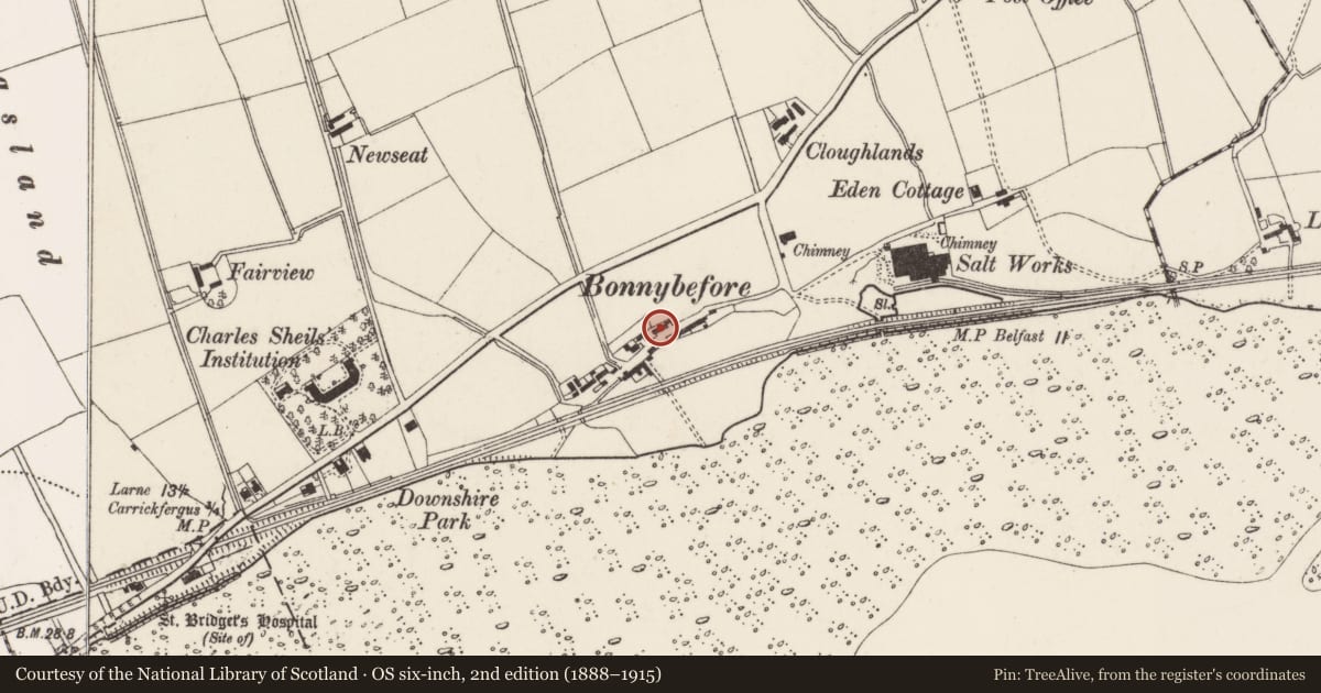 Ordnance Survey six-inch map, 2nd edition (1888–1915) covering the location of Fool's Haven, North east Division, Mid and East Antrim, with a pin at the register's coordinates