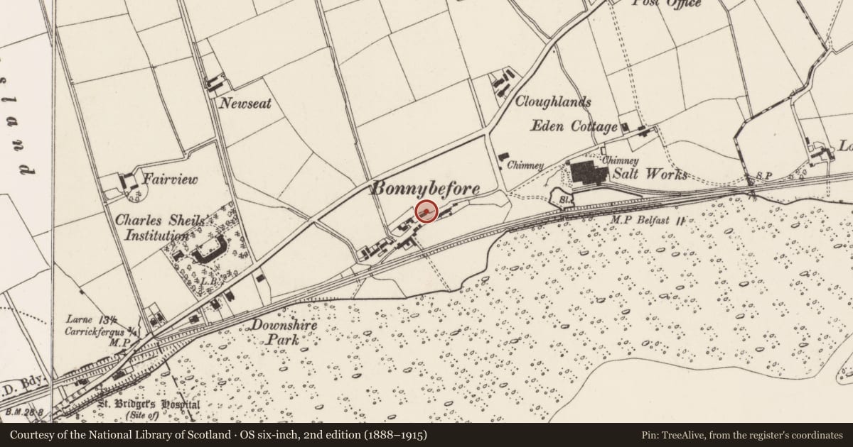 Ordnance Survey six-inch map, 2nd edition (1888–1915) covering the location of Grianán, North East Division, Mid and East Antrim, with a pin at the register's coordinates