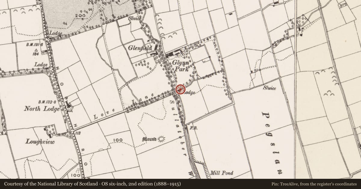 Ordnance Survey six-inch map, 2nd edition (1888–1915) covering the location of Gate Lodge, Glynn Park, 92 Taylors Avenue, North East Division, Mid and East Antrim, with a pin at the register's coordinates