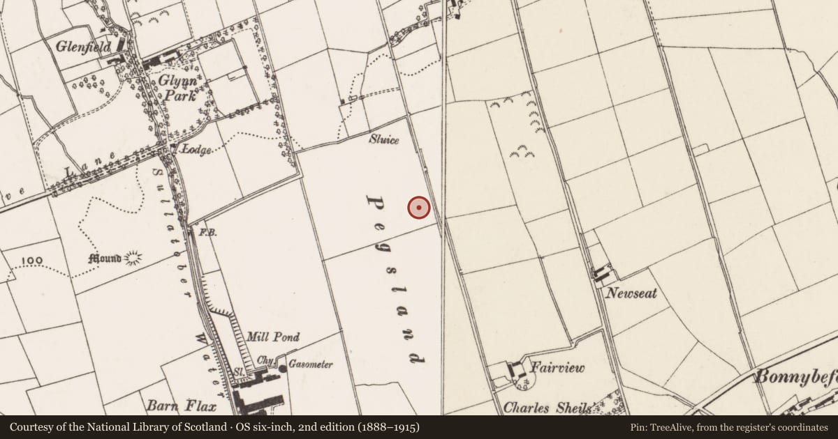 Ordnance Survey six-inch map, 2nd edition (1888–1915) covering the location of Victoria Cemetery, North East Division, Mid and East Antrim, with a pin at the register's coordinates