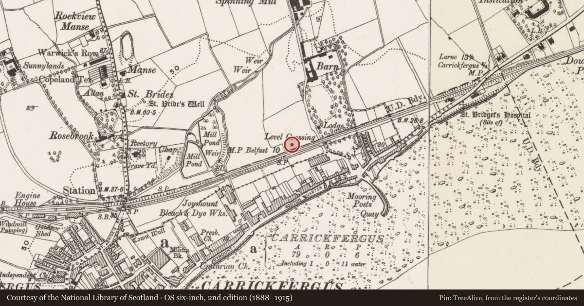 Ordnance Survey six-inch map, 2nd edition (1888–1915) covering the location of Barnhalt Bridge, Mid and East Antrim, with a pin at the register's coordinates