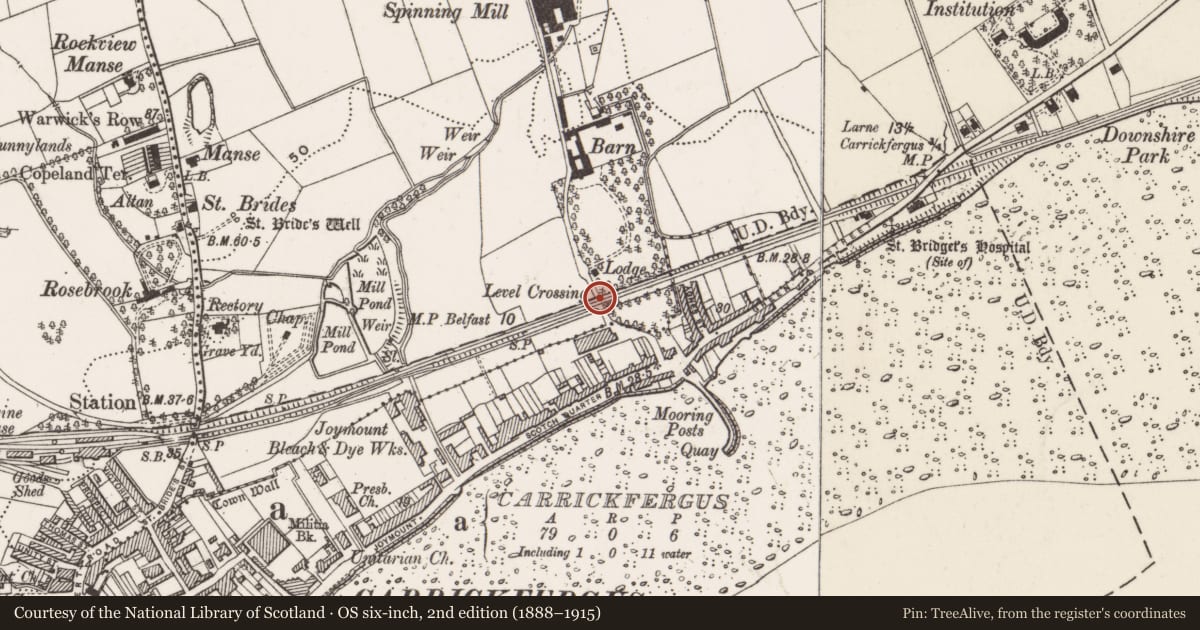 Ordnance Survey six-inch map, 2nd edition (1888–1915) covering the location of Barnhalt Footbridge, Love Lane, Mid and East Antrim, with a pin at the register's coordinates
