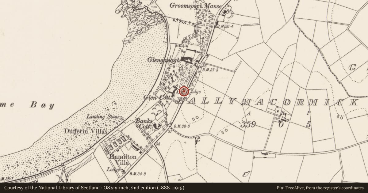 Ordnance Survey six-inch map, 2nd edition (1888–1915) covering the location of Gate Lodge, Ballymacormick, Ards and North Down, with a pin at the register's coordinates