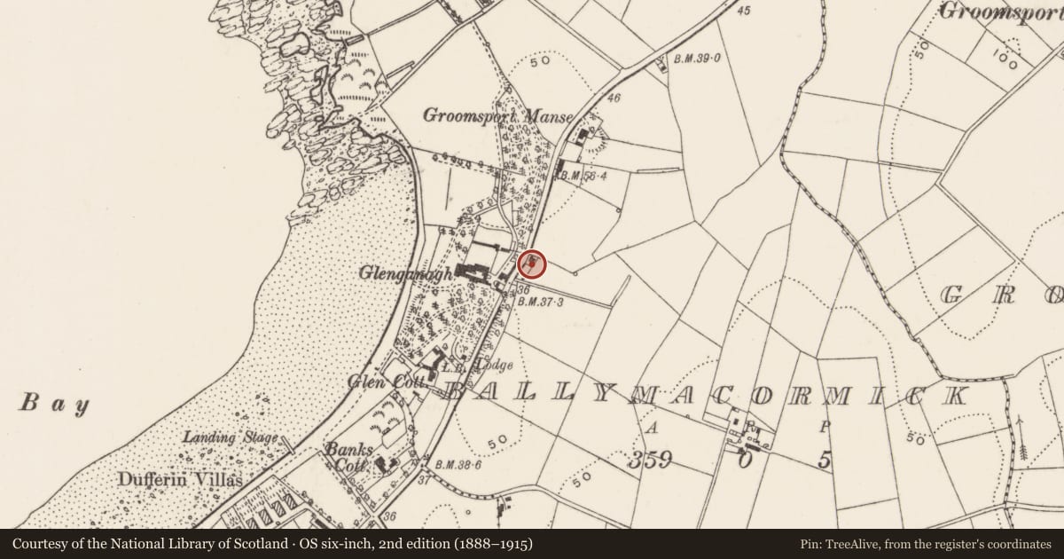 Ordnance Survey six-inch map, 2nd edition (1888–1915) covering the location of Glenganagh Cottage, Ballymacormick, Ards and North Down, with a pin at the register's coordinates