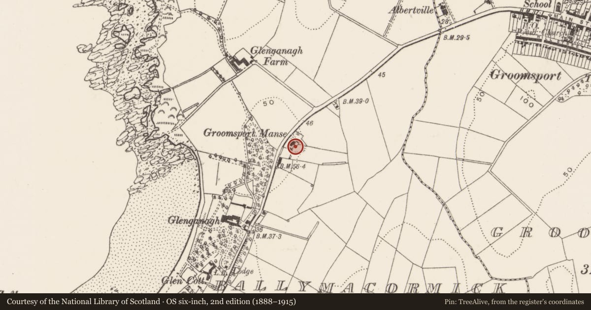 Ordnance Survey six-inch map, 2nd edition (1888–1915) covering the location of Groomsport Manse, Ards and North Down, with a pin at the register's coordinates