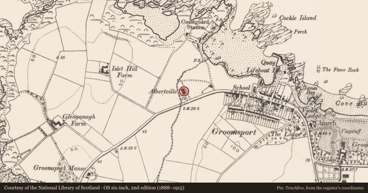 Ordnance Survey six-inch map, 2nd edition (1888–1915) covering the location of Albertville, Groomsport, Ards and North Down, with a pin at the register's coordinates