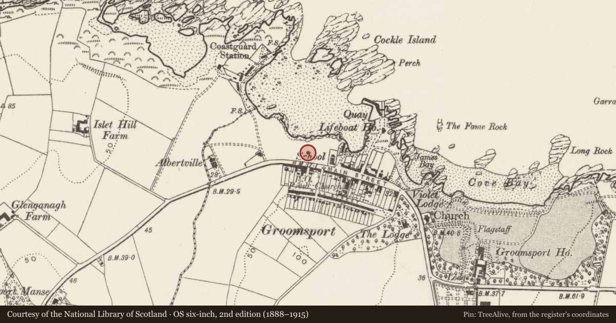 Ordnance Survey six-inch map, 2nd edition (1888–1915) covering the location of War Memorial, Groomsport, Ards and North Down, with a pin at the register's coordinates