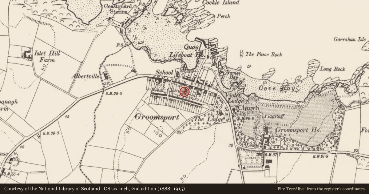 Ordnance Survey six-inch map, 2nd edition (1888–1915) covering the location of Groomsport Presbyterian Church, Ards and North Down, with a pin at the register's coordinates