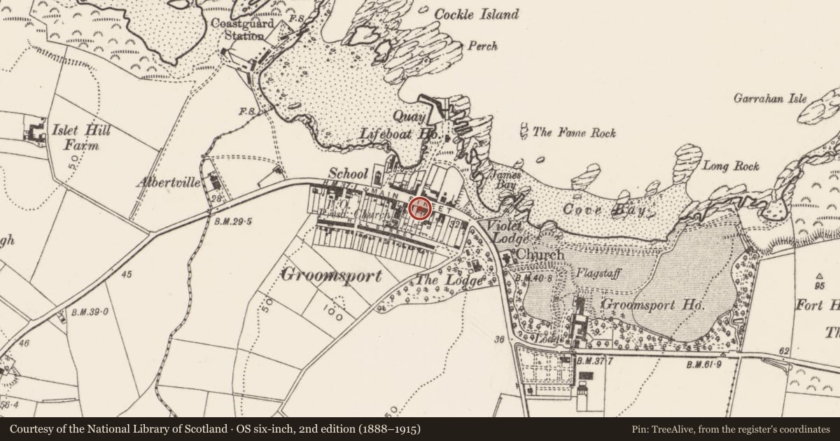 Ordnance Survey six-inch map, 2nd edition (1888–1915) covering the location of 45-47 Main Street, Ards and North Down, with a pin at the register's coordinates