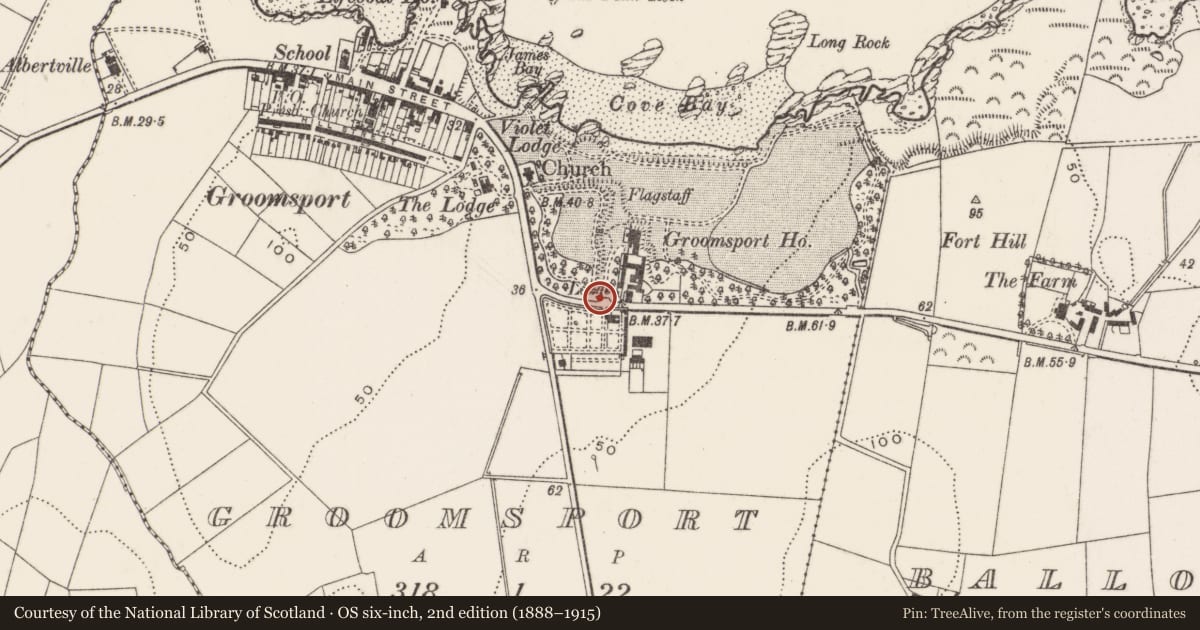 Ordnance Survey six-inch map, 2nd edition (1888–1915) covering the location of Gate Screen, Groomsport, Ards and North Down, with a pin at the register's coordinates