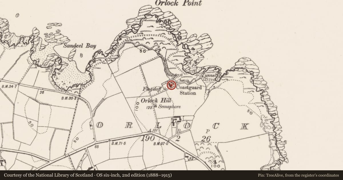 Ordnance Survey six-inch map, 2nd edition (1888–1915) covering the location of Coastguard Cottages, Ards and North Down, with a pin at the register's coordinates