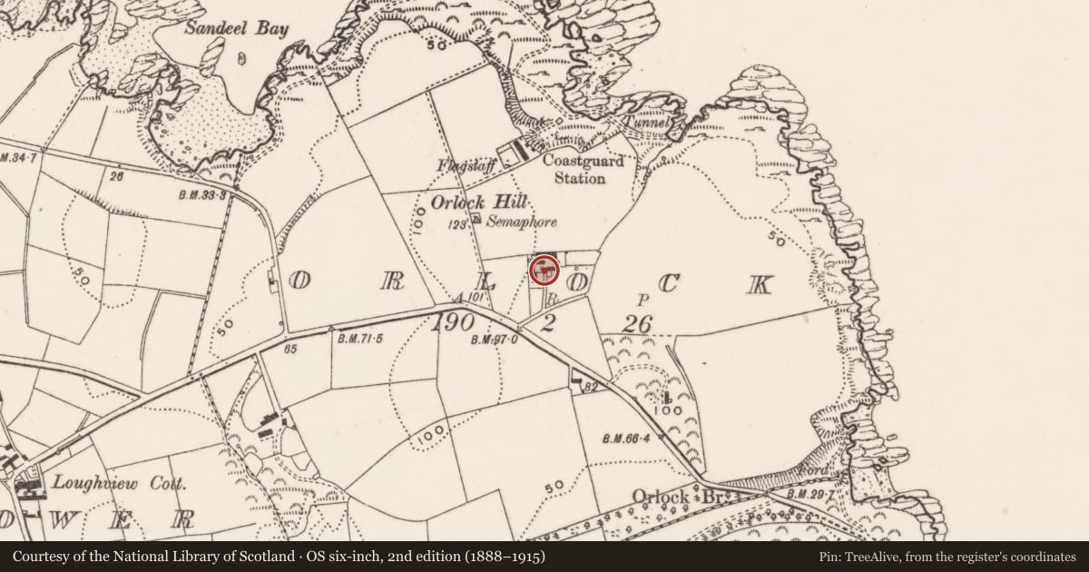 Ordnance Survey six-inch map, 2nd edition (1888–1915) covering the location of Lowry's Farm, Orlock, Ards and North Down, with a pin at the register's coordinates