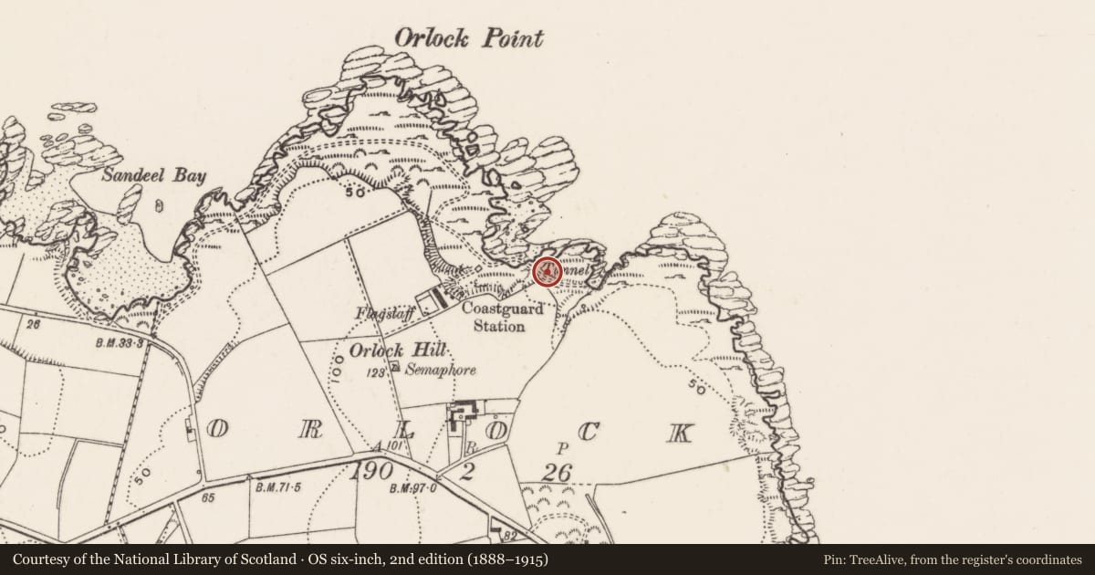 Ordnance Survey six-inch map, 2nd edition (1888–1915) covering the location of Natural Arch, Ards and North Down, with a pin at the register's coordinates