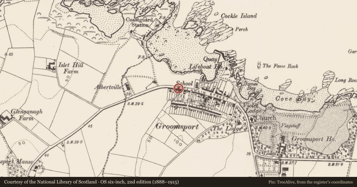 Ordnance Survey six-inch map, 2nd edition (1888–1915) covering the location of 9 Main Street, Ards and North Down, with a pin at the register's coordinates