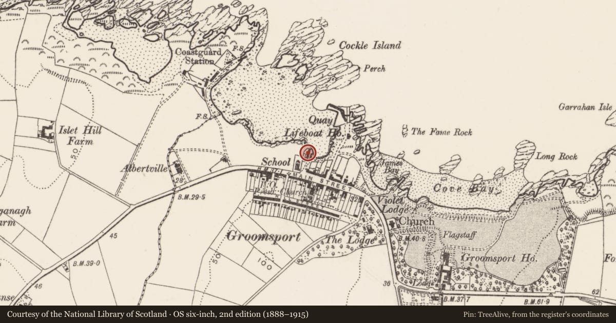 Ordnance Survey six-inch map, 2nd edition (1888–1915) covering the location of Cockle Row, Groomsport, Ards and North Down, with a pin at the register's coordinates