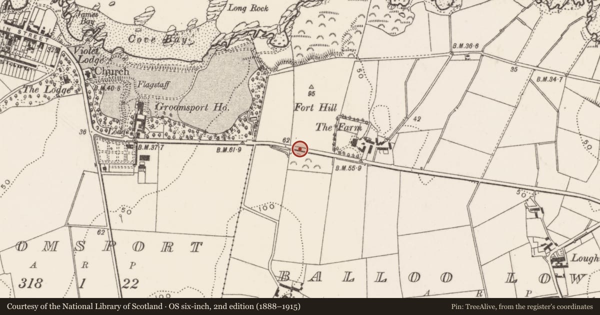 Ordnance Survey six-inch map, 2nd edition (1888–1915) covering the location of Donaghadee Road, Ards and North Down, with a pin at the register's coordinates