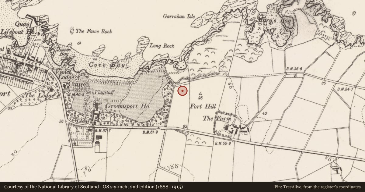 Ordnance Survey six-inch map, 2nd edition (1888–1915) covering the location of 26 Andrew’s Shorefield, Baloo Lower, Ards and North Down, with a pin at the register's coordinates