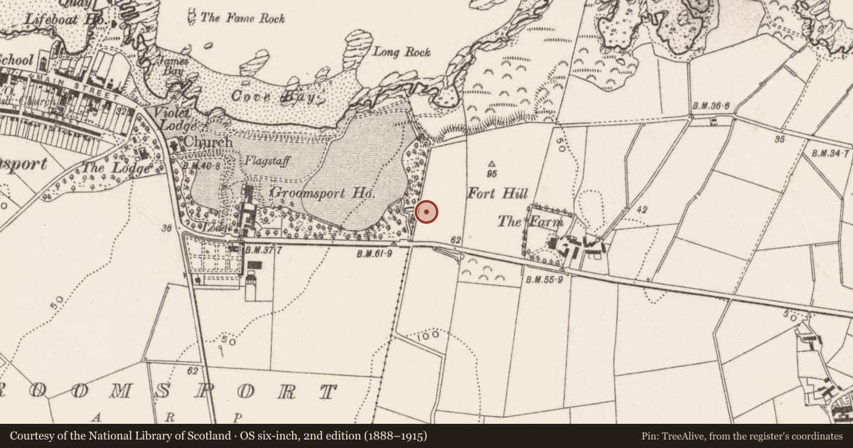 Ordnance Survey six-inch map, 2nd edition (1888–1915) covering the location of Fountain No.1, Baloo Lower, Ards and North Down, with a pin at the register's coordinates