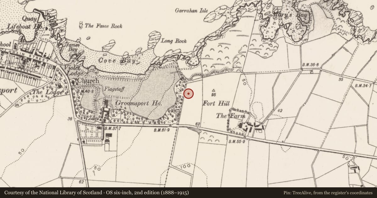 Ordnance Survey six-inch map, 2nd edition (1888–1915) covering the location of Fountain No.2, Baloo Lower, Ards and North Down, with a pin at the register's coordinates