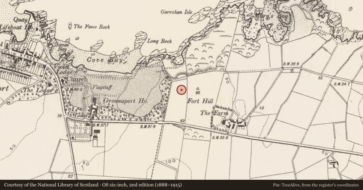 Ordnance Survey six-inch map, 2nd edition (1888–1915) covering the location of Fountain No.3, Ards and North Down, with a pin at the register's coordinates